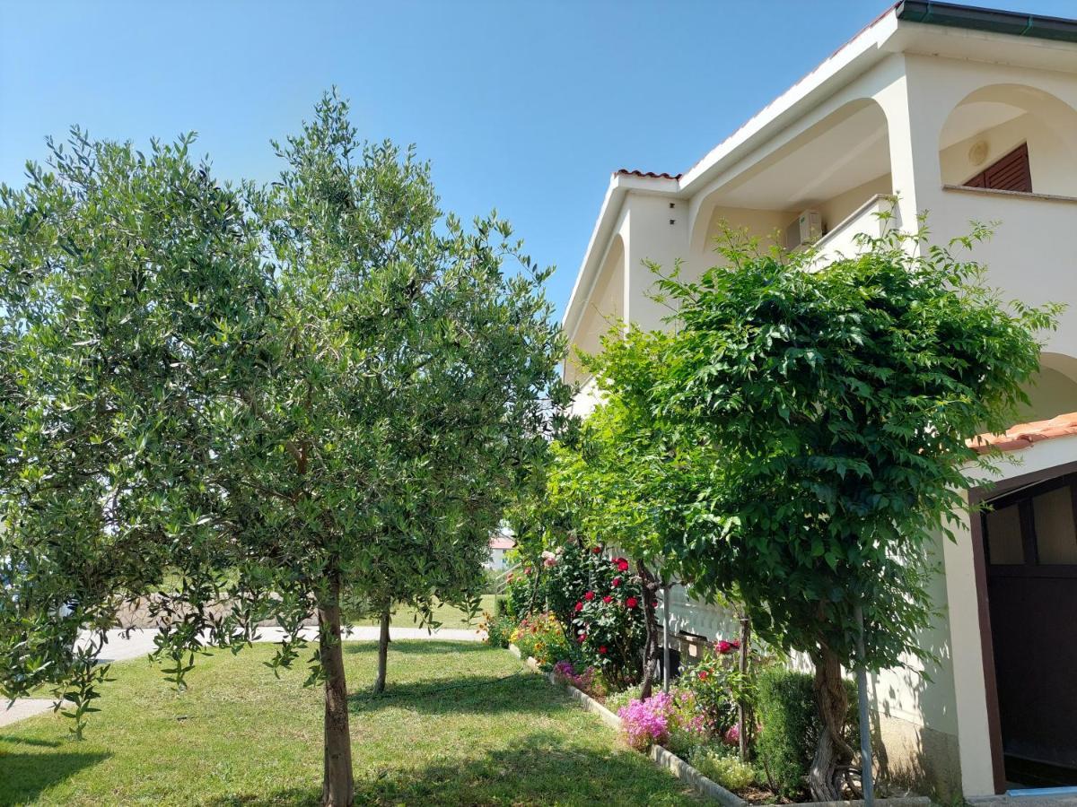 Apartments Vlašići מראה חיצוני תמונה
